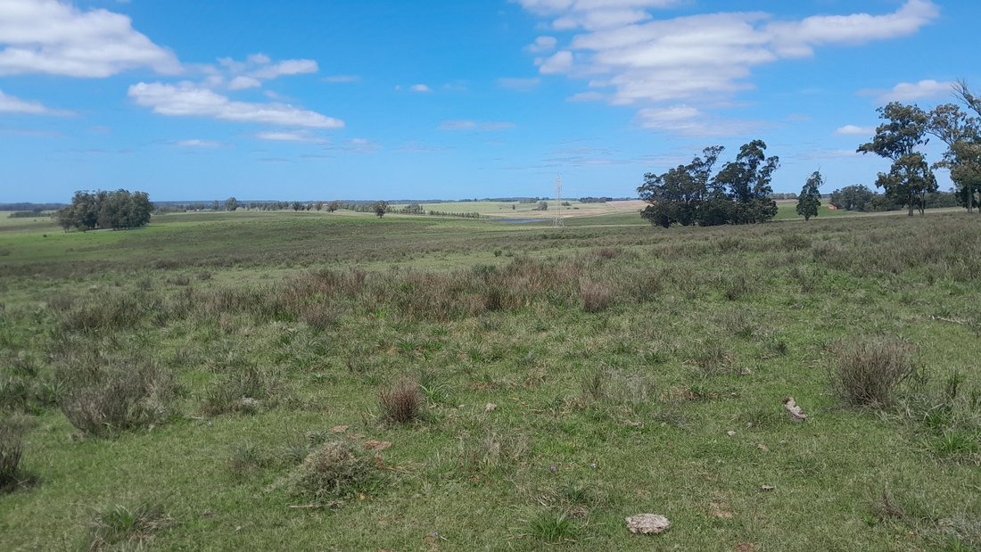 Farm Ranch in San Carlos, Maldonado Department, Uruguay 1 - 17750429