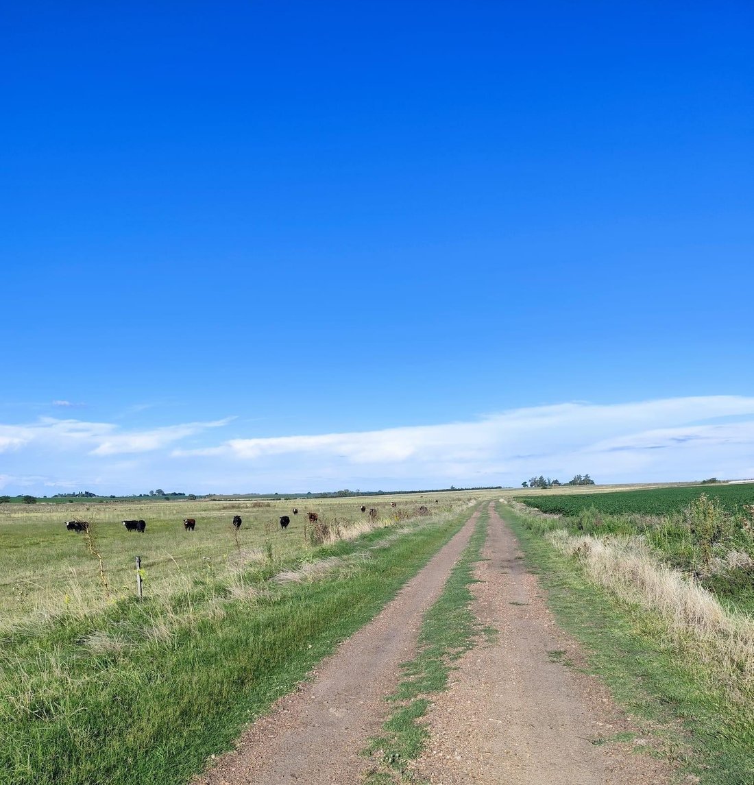 Farm Ranch in Young, Río Negro Department, Uruguay 1 - 17750273