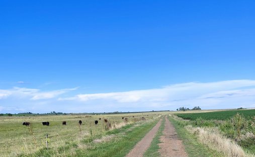 Azienda agricola in Young, Dipartimento di Río Negro, Uruguay 1