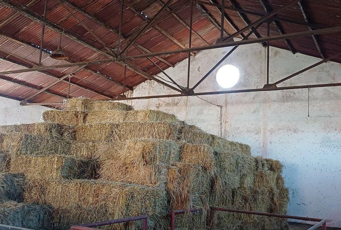 Farm Ranch in Joaquin Suarez, Canelones Department, Uruguay 3 - 17750418