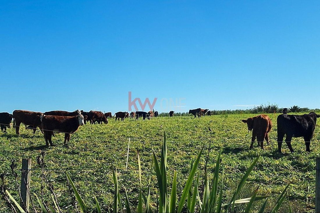 Farm Ranch in Joaquin Suarez, Canelones Department, Uruguay 2 - 17750418