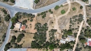 Land in Formentera, Balearic Islands, Spain 3 - 17746831