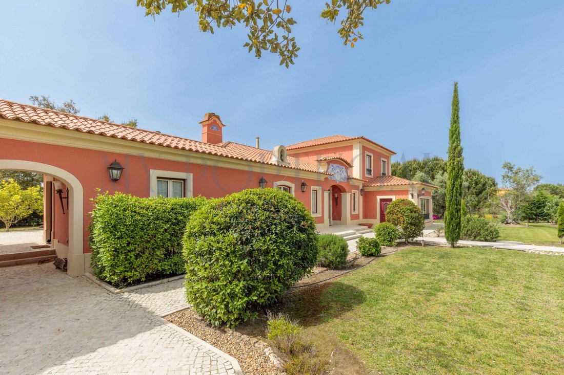 House in Santo Estevao, Santarem District, Portugal 5 - 17745425