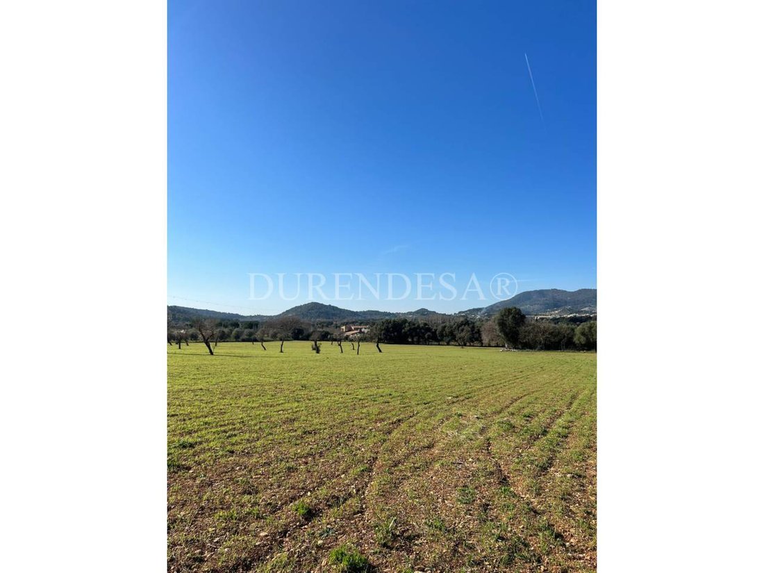 Finca in Alaro, Balearic Islands, Spain 5 - 17747074