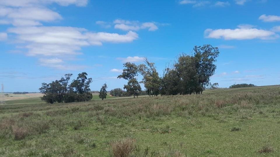Farm Ranch in San Carlos, Maldonado Department, Uruguay 2 - 17750429