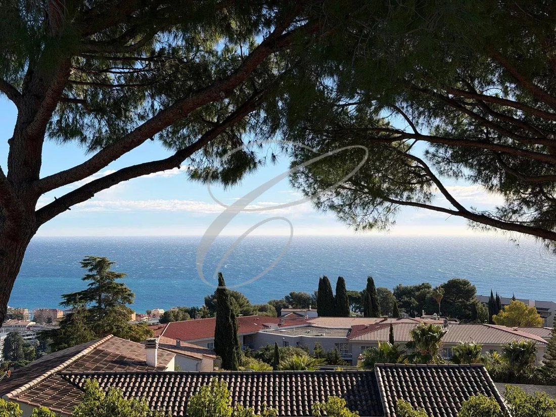 Villa in Village-Cros de Caste-Coupiere-Mont Gros, Roquebrune-Cap-Martin, France 1 - 12810562