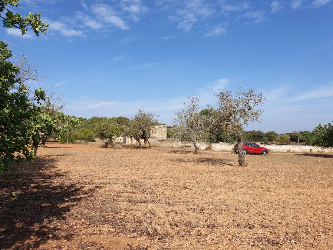 Land in Felanitx, Balearic Islands, Spain 1 - 17746910