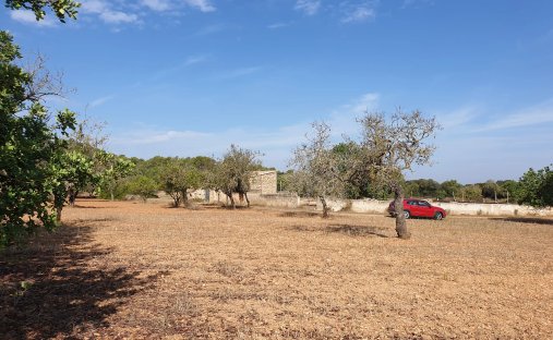 Land in Felanitx, Balearic Islands, Spain 1