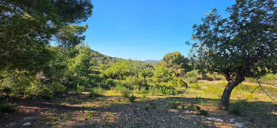 Finca in Manacor, Balearic Islands, Spain 1 - 17747239