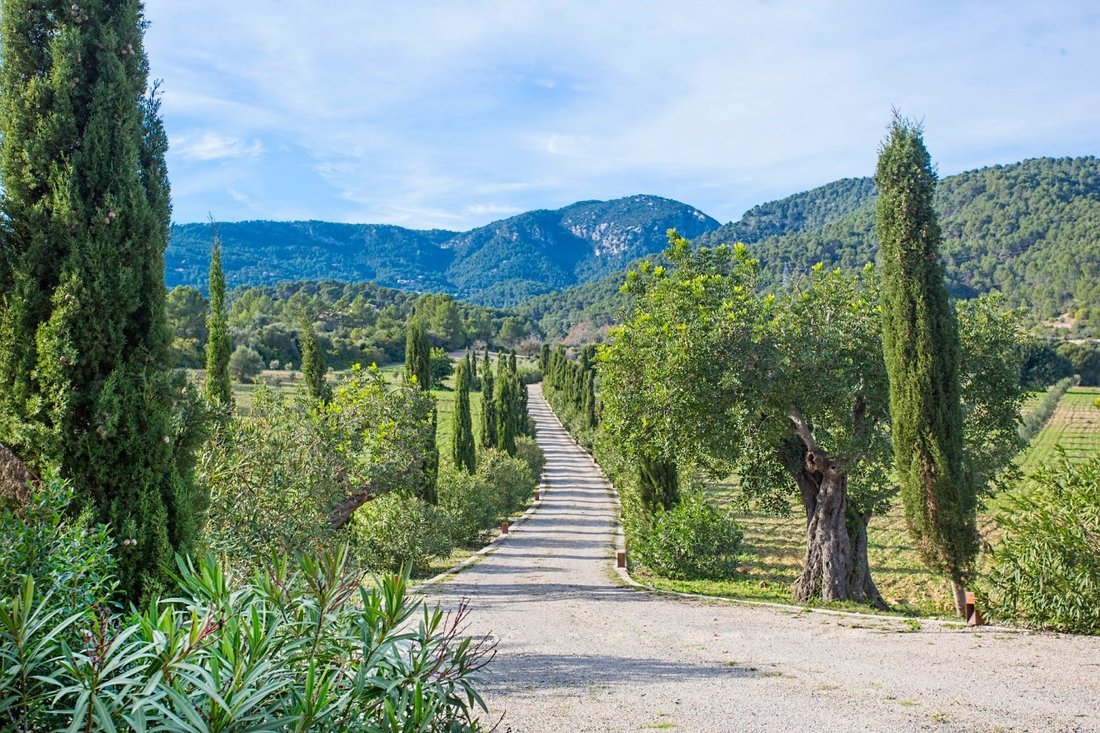 Finca in Palma, Balearic Islands, Spain 4 - 17747243