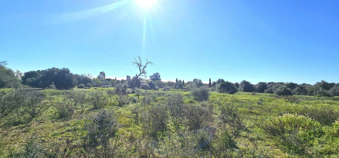 Land in Santanyi, Balearic Islands, Spain 1 - 17746796