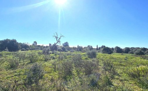 Finca in Santanyi, Balearic Islands, Spain 1