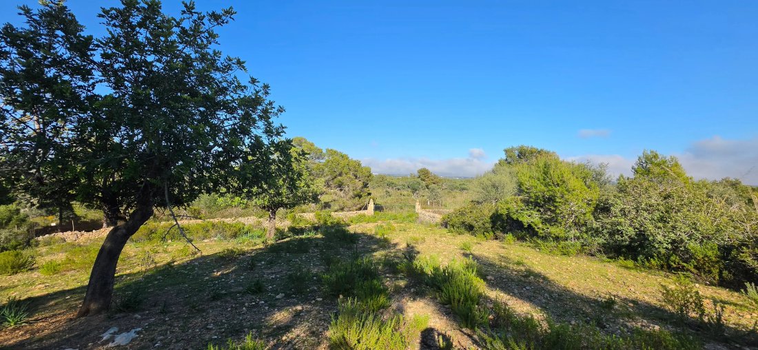 Finca in Manacor, Balearic Islands, Spain 2 - 17747239