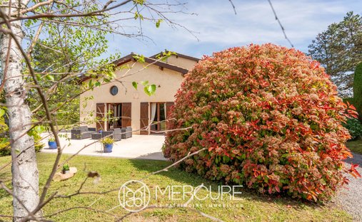 House in Dommartin, Auvergne-Rhône-Alpes, France 1