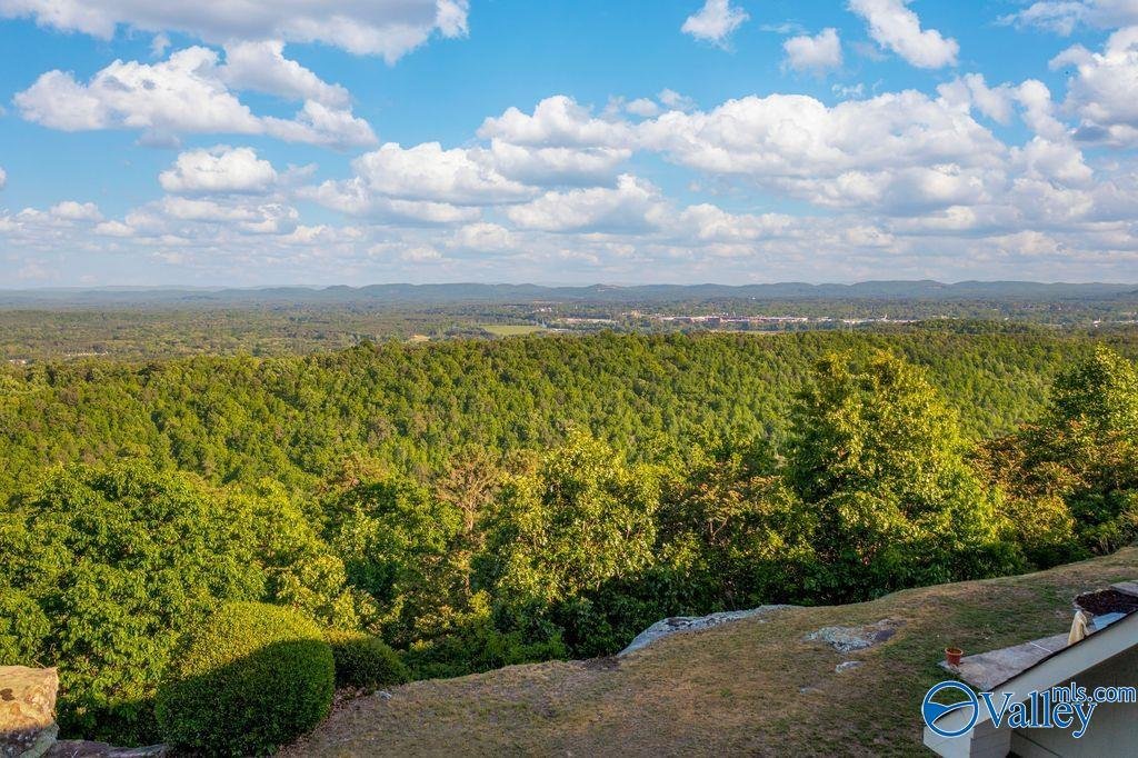 House in Gadsden, Alabama, United States 2 - 17748393