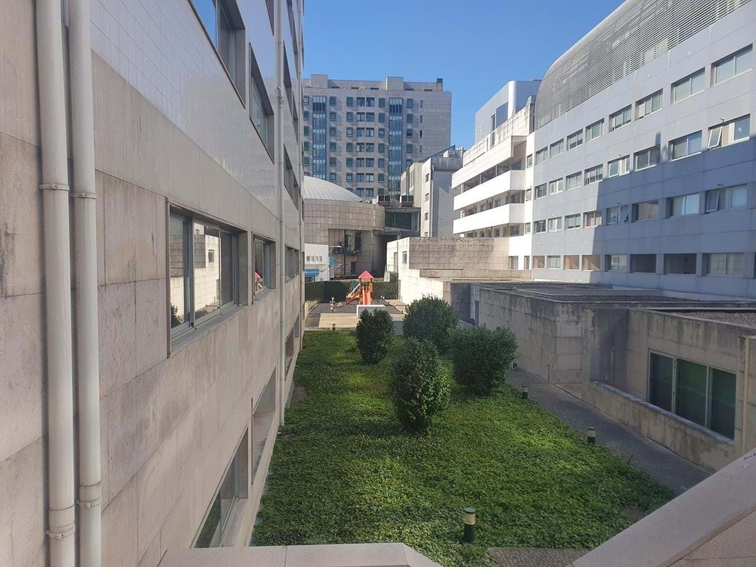 Apartment in Bonfim, Porto District, Portugal 4 - 17500321