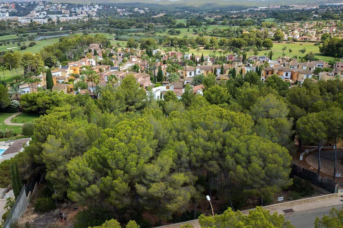 Land in Rotes Velles, Calvia, Balearic Islands 4 - 17746818