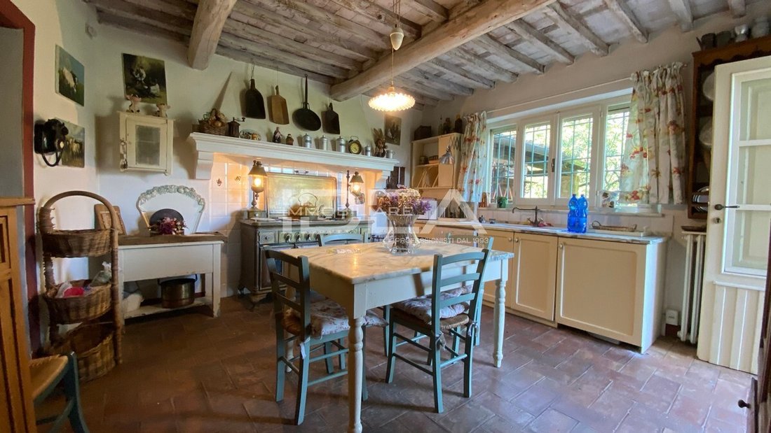 Andere in Camaiore, Toskana, Italien 5 - 14851911