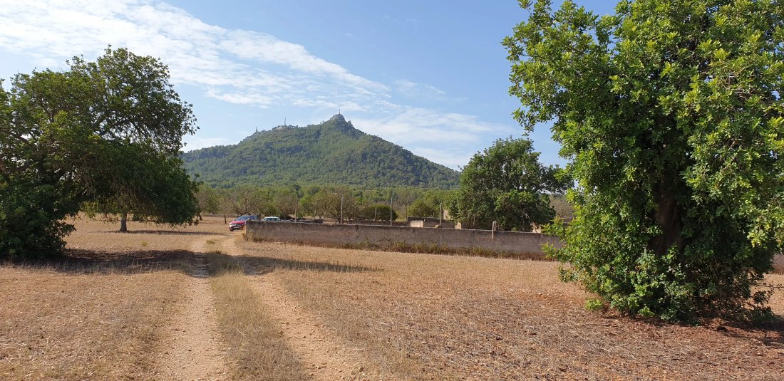 Land in Felanitx, Balearic Islands, Spain 5 - 17746910