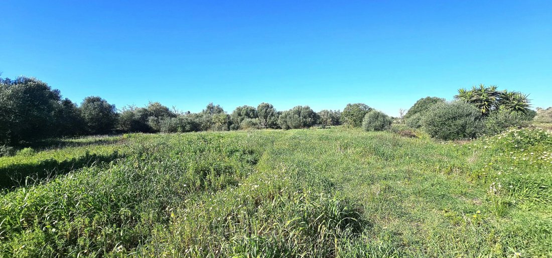 Land in Santanyi, Balearic Islands, Spain 4 - 17746796