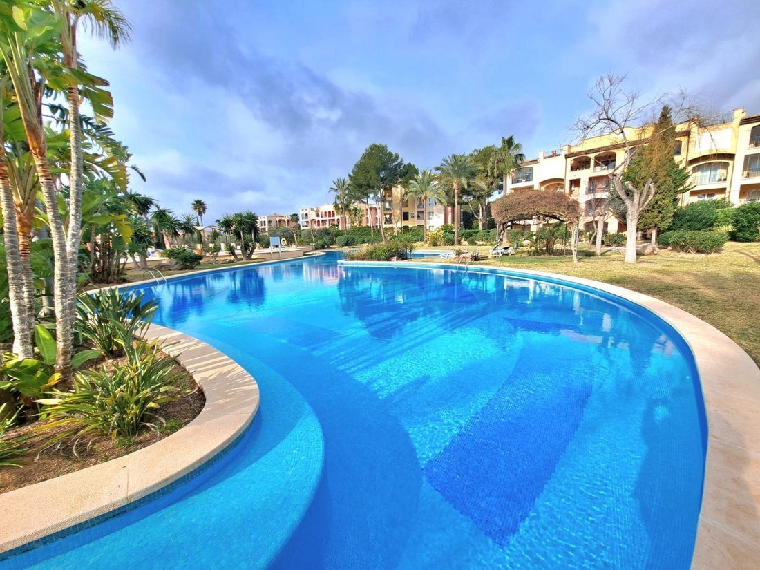Apartment in Calvia, Balearic Islands, Spain 2 - 17748005
