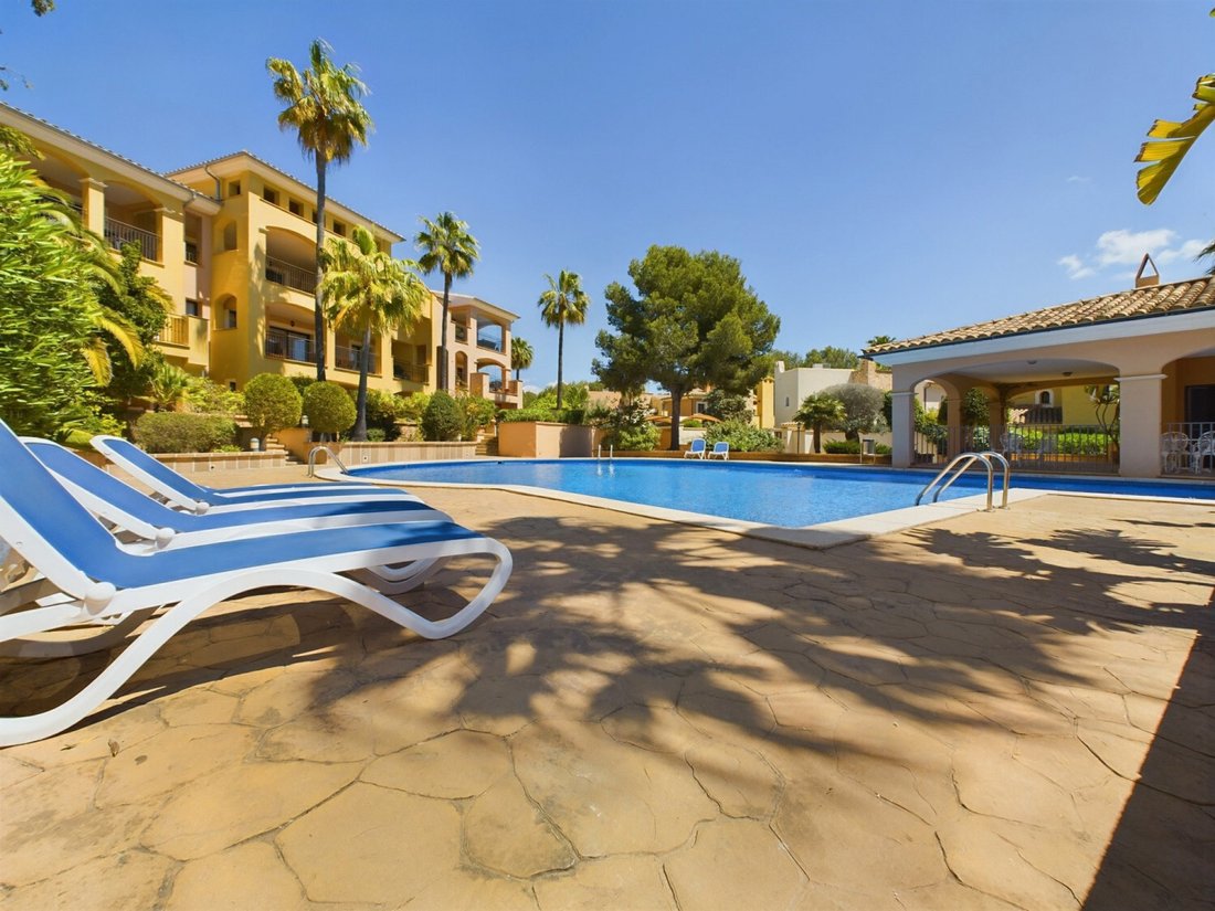 Apartment in Rotes Velles, Calvia, Balearic Islands 1 - 17747498