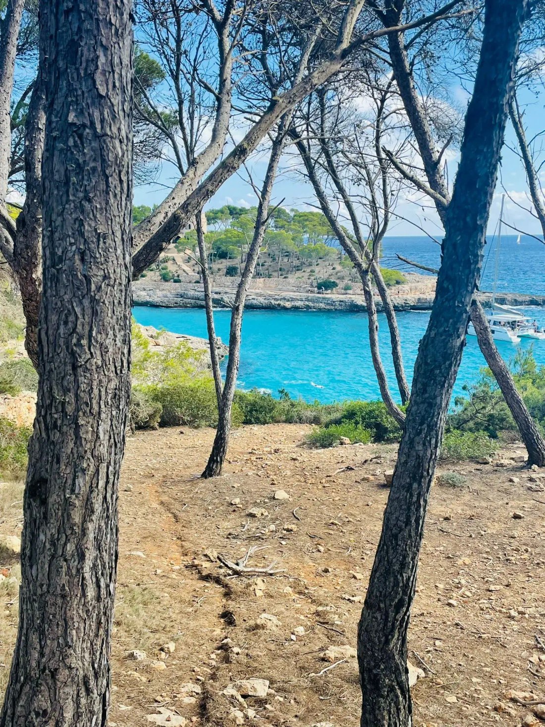 Townhouse in Cala d'Or, Santanyi, Balearic Islands 3 - 17747100