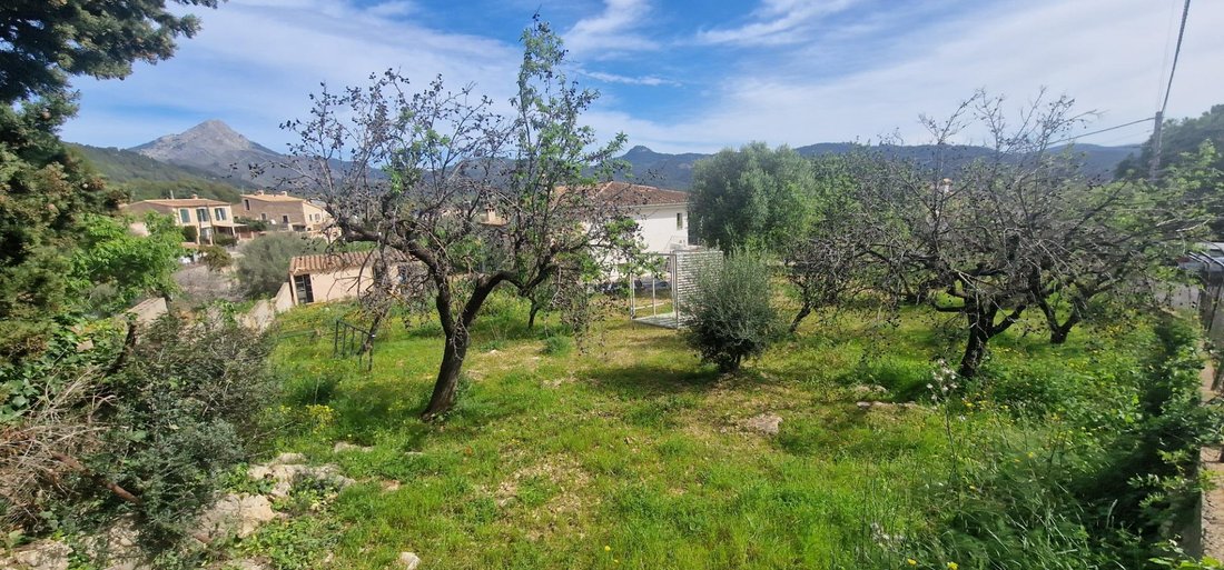 Land in es Capdella, Calvia, Balearic Islands 1 - 17746811