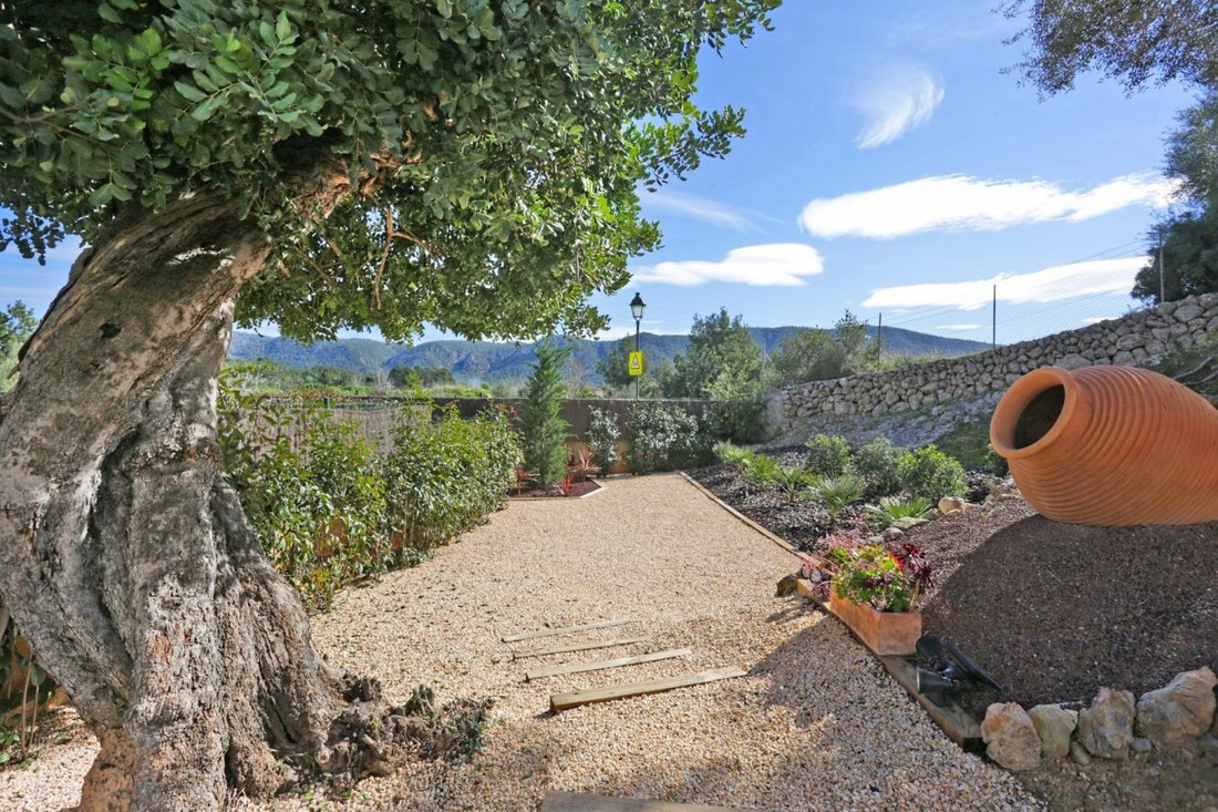 Apartment in Calvia, Balearic Islands, Spain 1 - 17747908
