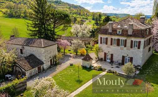 Castle in Montcuq-en-Quercy-Blanc, Occitania, France 1