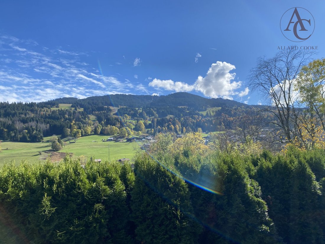 Chalet in Demi-Quartier, Auvergne-Rhône-Alpes, France 4 - 16854632