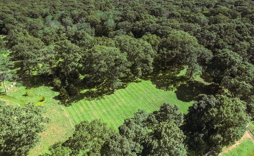 Land in Oak Bluffs, Massachusetts, United States 1