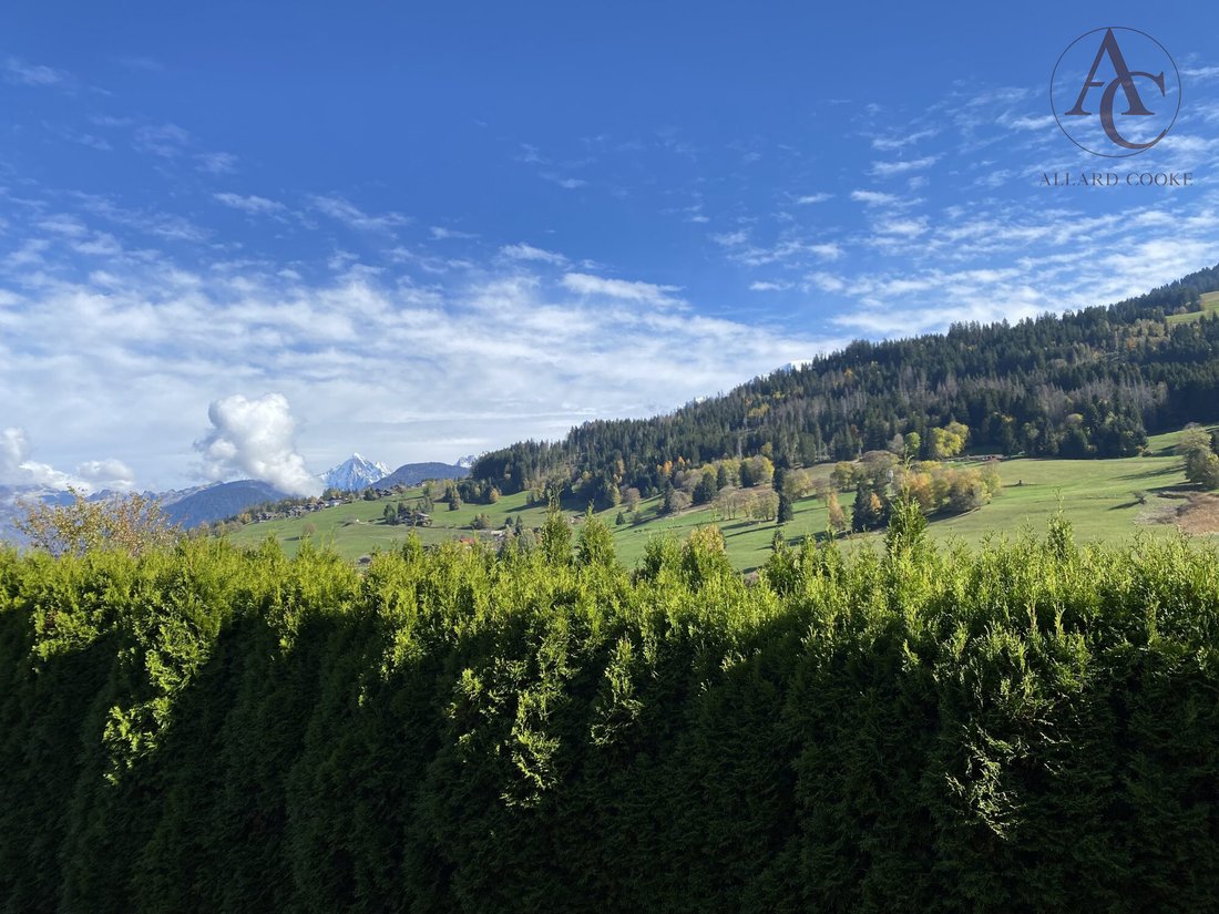 Chalet in Demi-Quartier, Auvergne-Rhône-Alpes, France 3 - 16854632