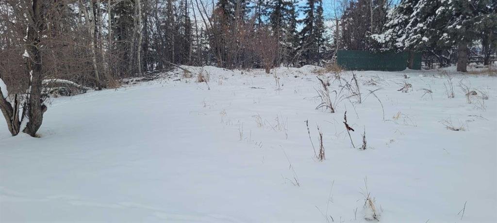 Land in Sylvan Lake, Alberta, Canada 4 - 17751392