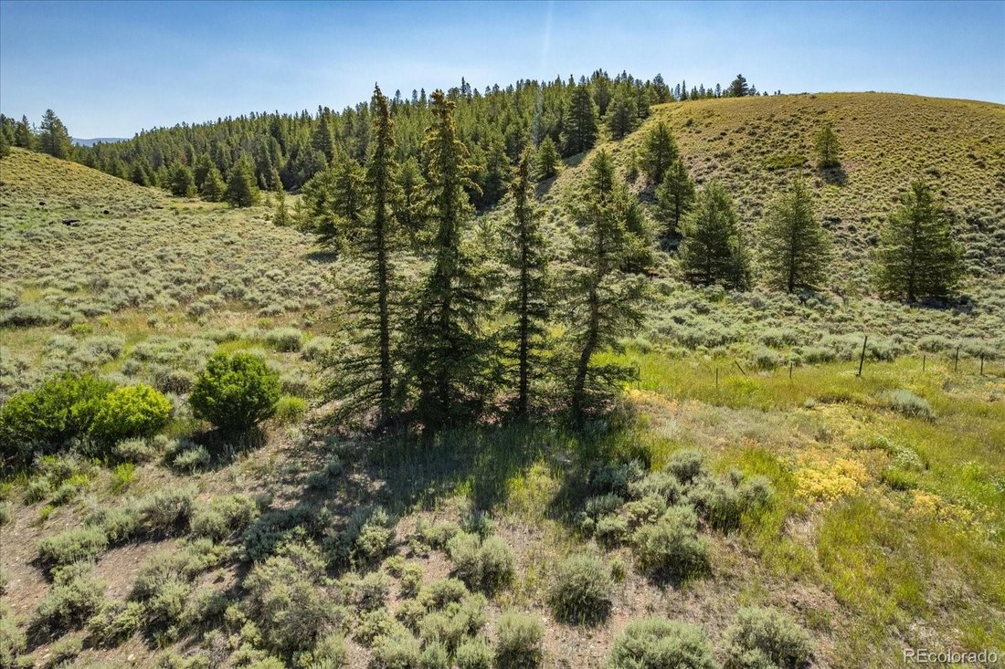 Land in Leadville, Colorado, United States 3 - 17750901