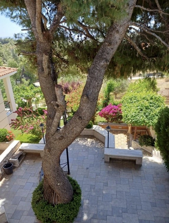 House in Pikermi, Attica, Greece 3 - 17752391