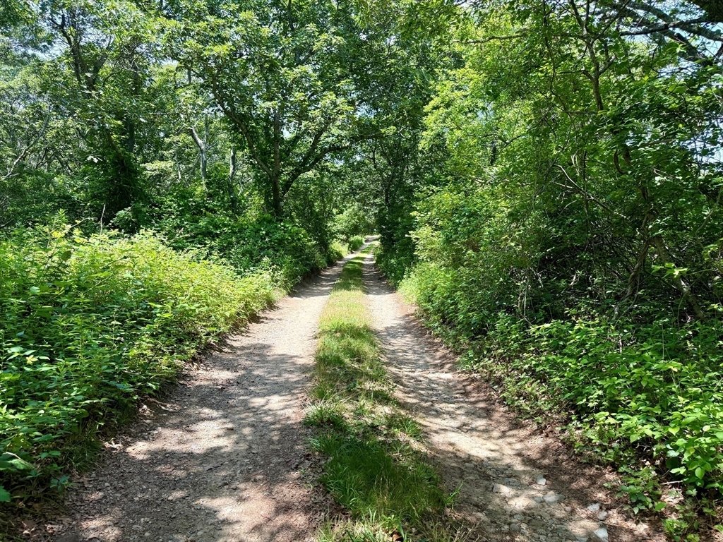 Land in Chilmark, Massachusetts, United States 4 - 17751108