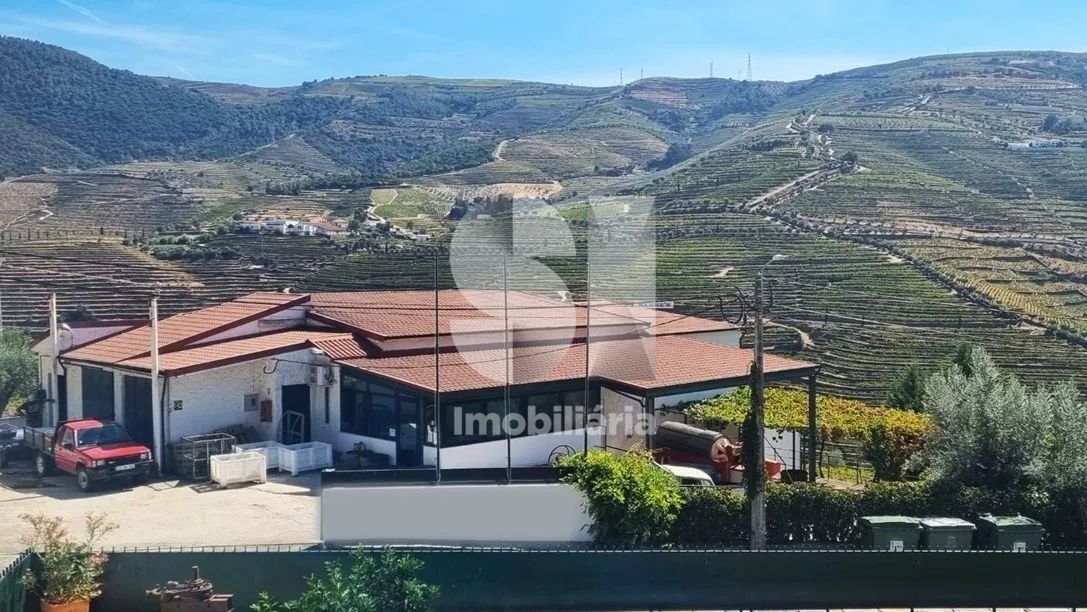 Farm Ranch in Ervedosa do Douro, Viseu District, Portugal 1 - 17752070