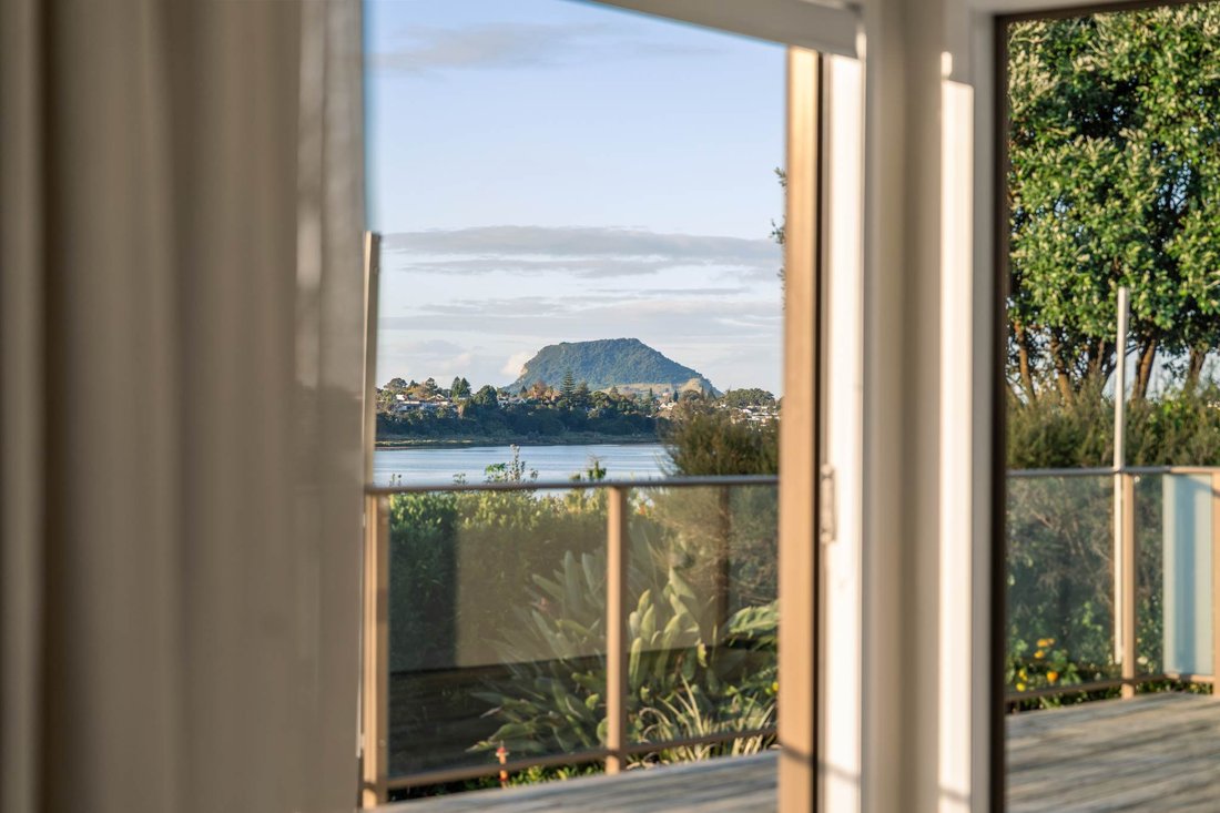 House in Tauranga, Bay of Plenty, New Zealand 4 - 17751664