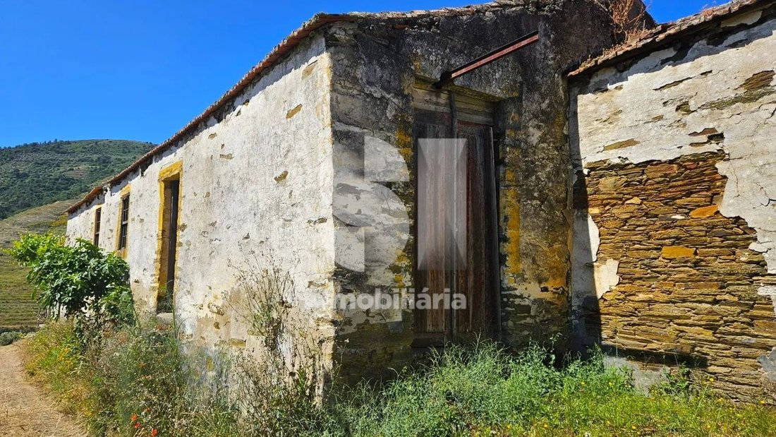 Farm Ranch in Ervedosa do Douro, Viseu District, Portugal 4 - 17752070