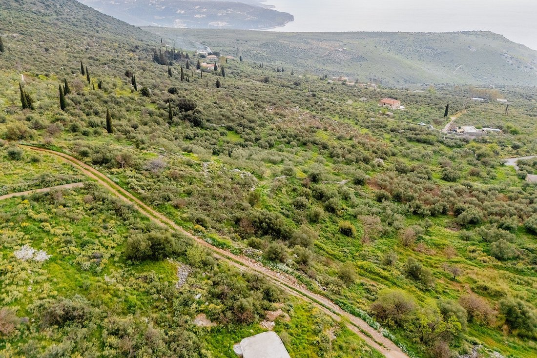 Land in Oitylos, Peloponnese, Western Greece and the Ionian, Griechenland 5 - 17753109