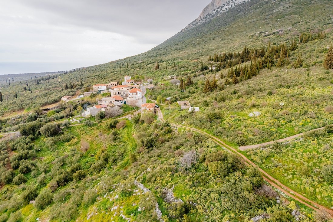 Land in Oitylos, Peloponnese, Western Greece and the Ionian, Griechenland 4 - 17753109