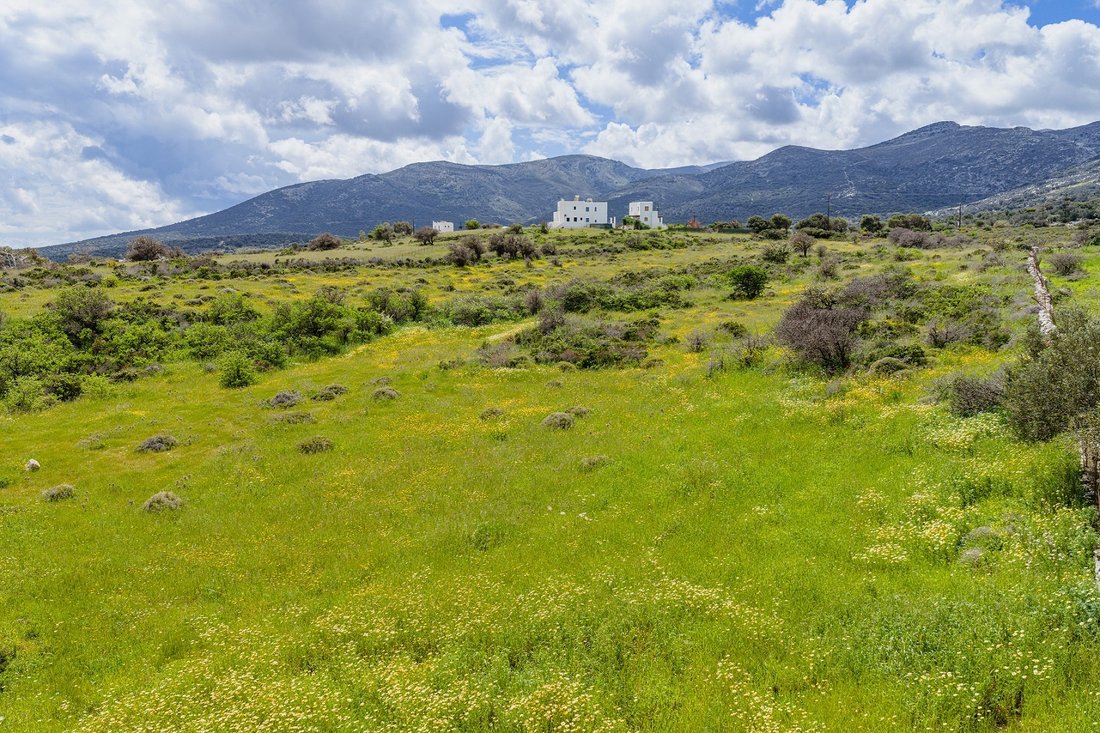 Land in Naxos, Aegean, Griechenland 5 - 17753096