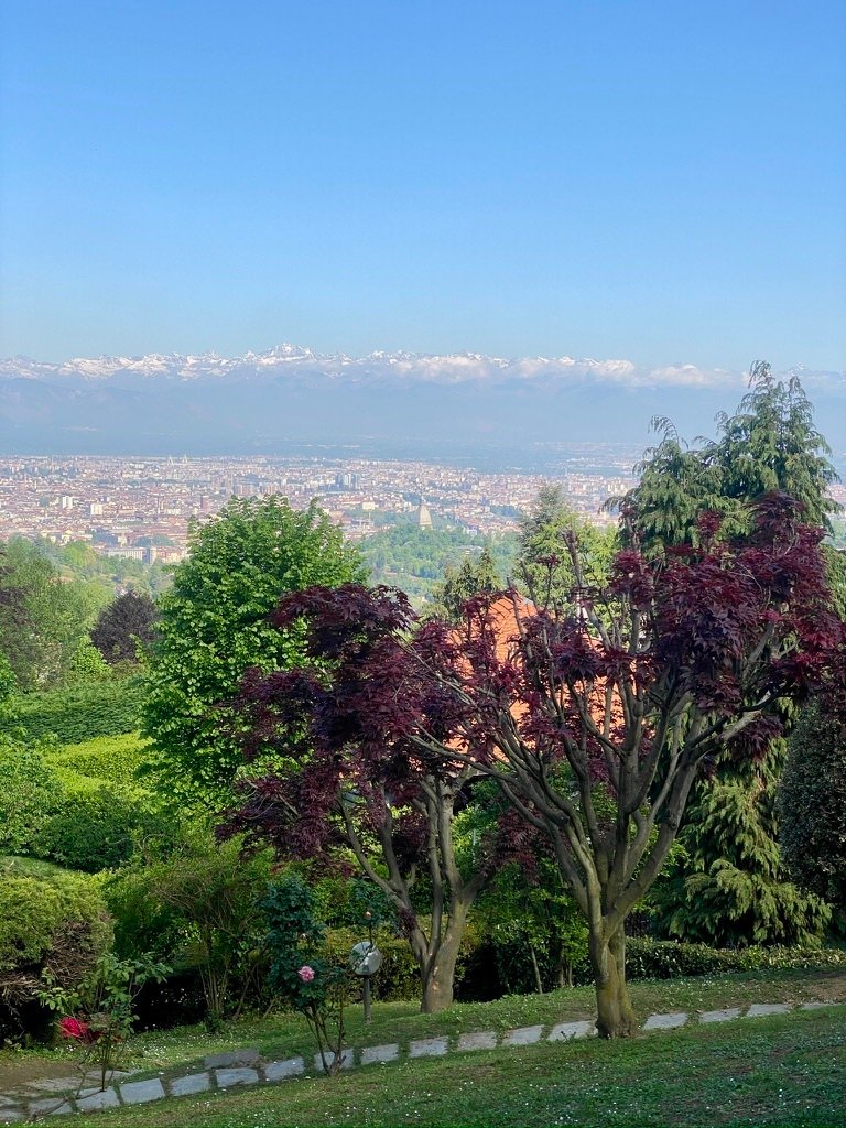 Villa in Borgo Po - Nobile, Turin, Italy 3 - 17753148