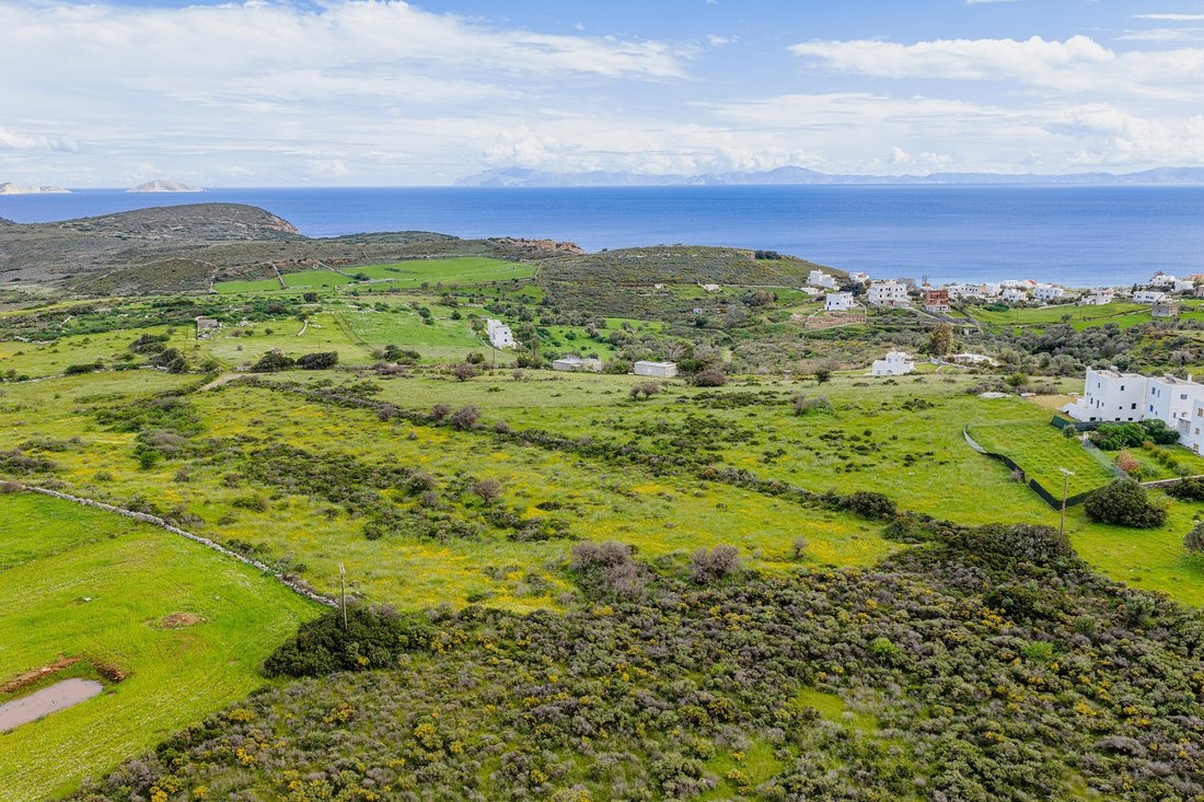 Land in Naxos, Aegean, Griechenland 1 - 17753071