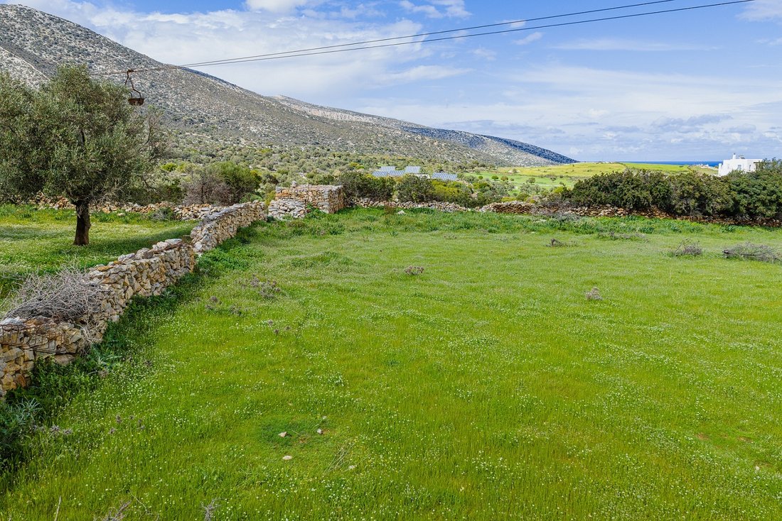Land in Naxos, Aegean, Greece 3 - 17753083