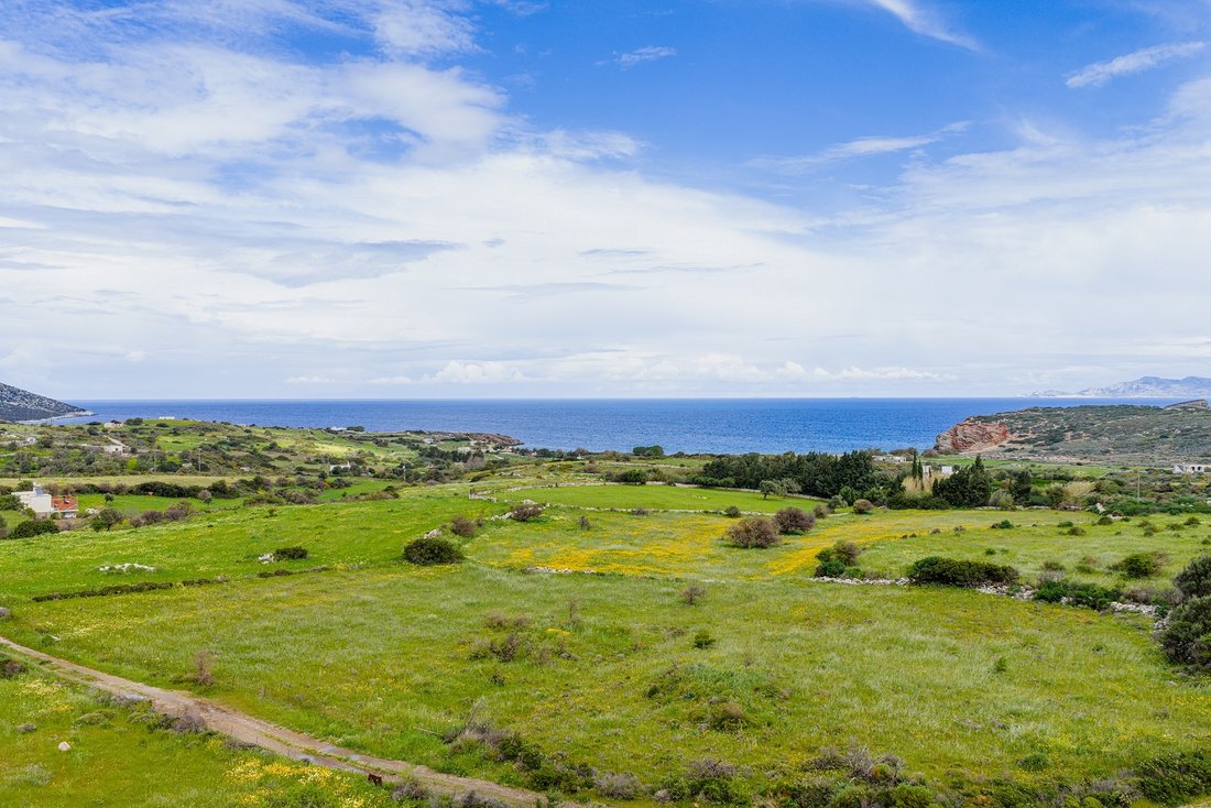 Land in Naxos, Aegean, Griechenland 2 - 17753096