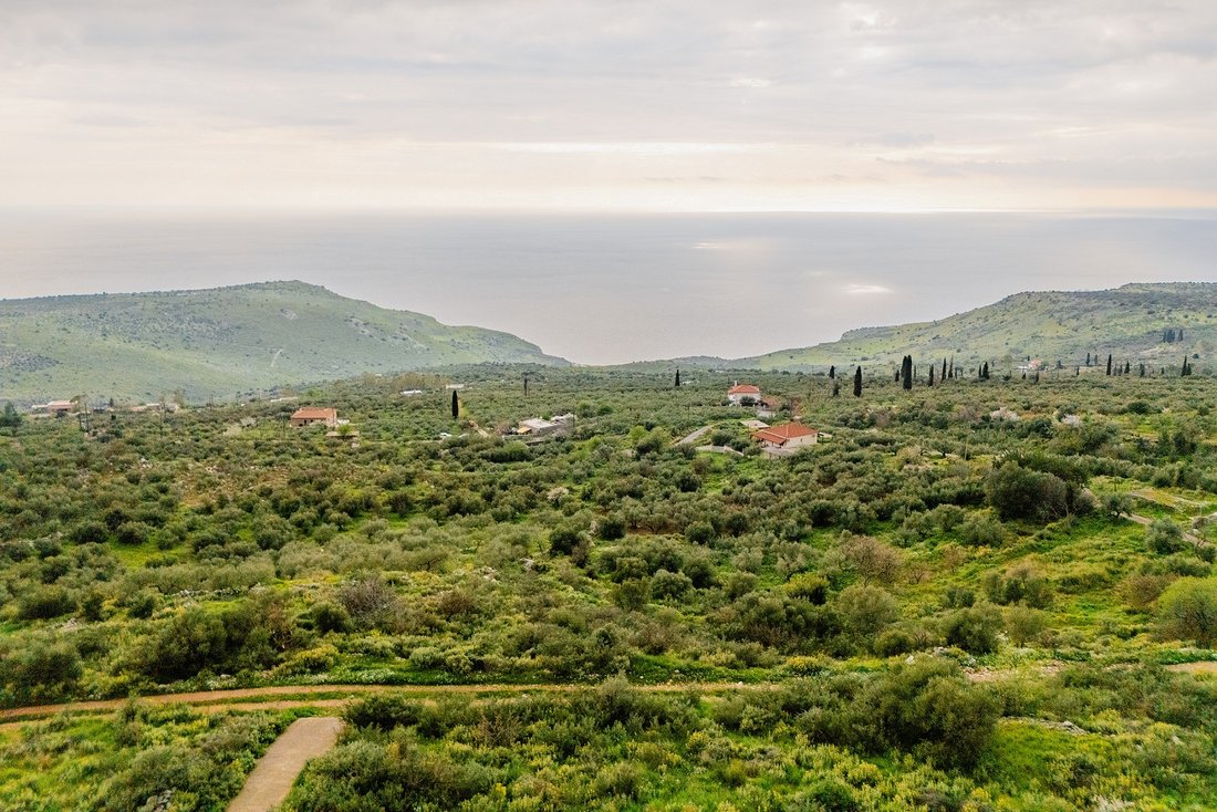 Land in Oitylos, Peloponnese, Western Greece and the Ionian, Griechenland 1 - 17753109