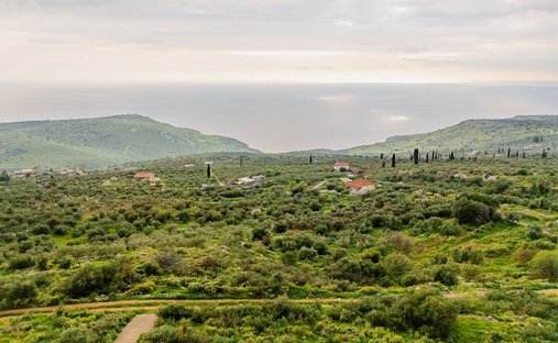 Land in Oitylos, Peloponnese, Western Greece and the Ionian, Griechenland 1