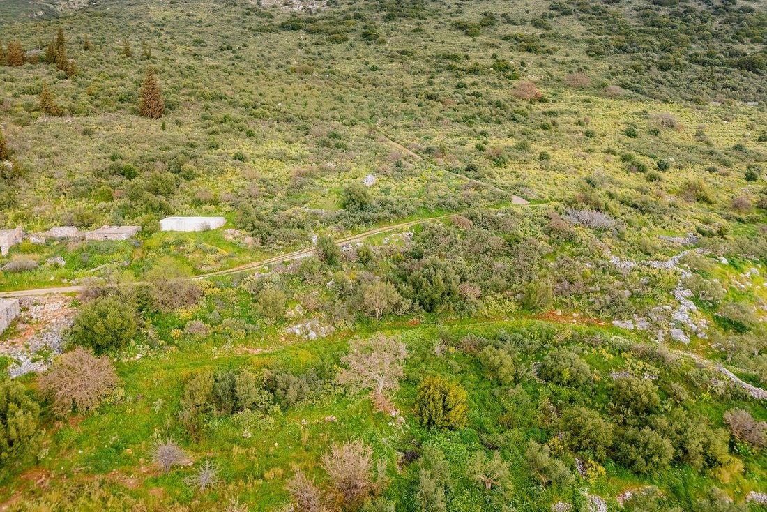 Land in Oitylos, Peloponnese, Western Greece and the Ionian, Griechenland 2 - 17753109